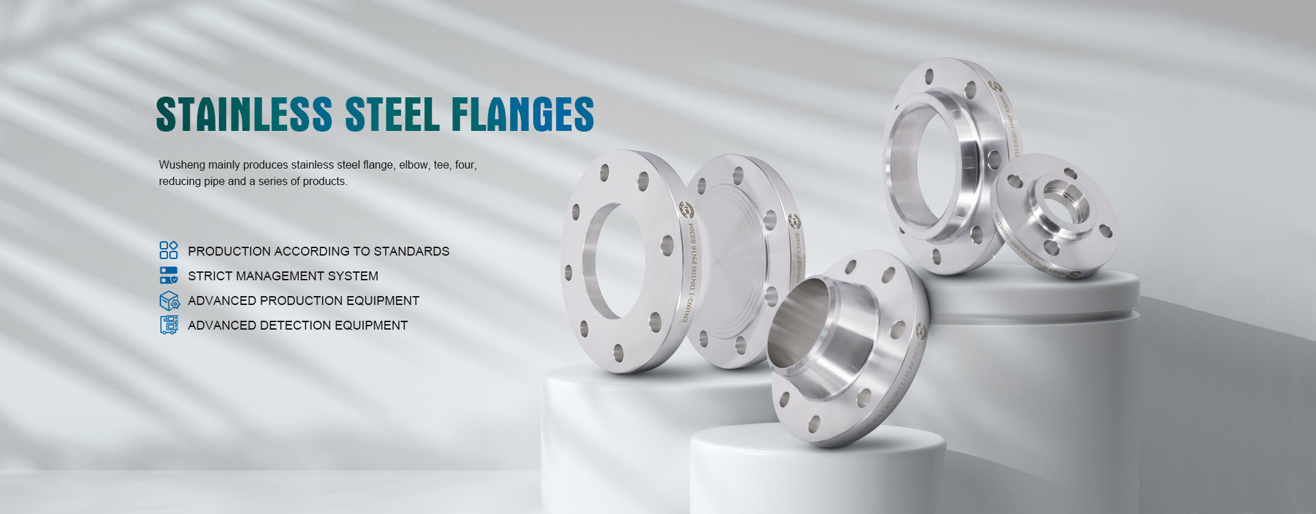 Stainless Steel Flanges