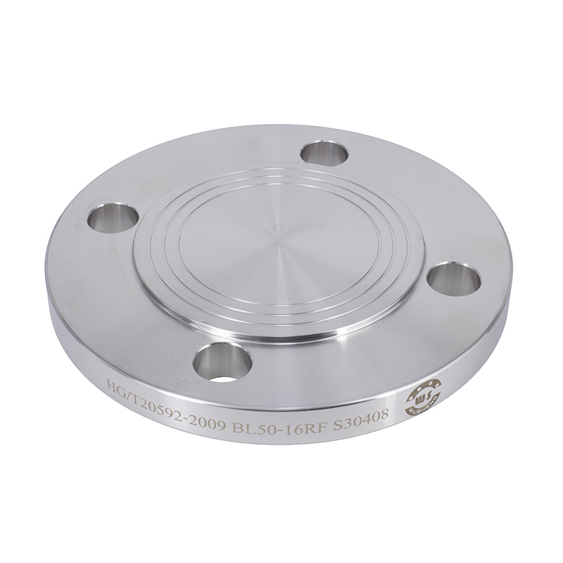 Duplex Steel S32205 Blind Flanges